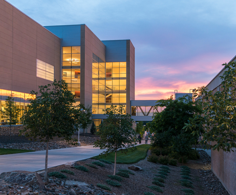 University Galleries